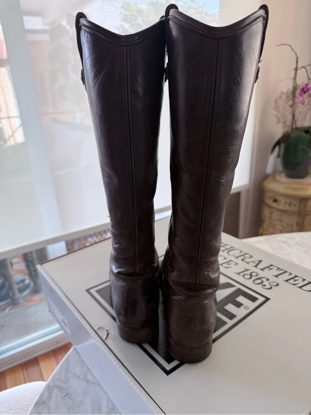 Frye Women's Over-the-Knee Leather Boots in Dark Brown